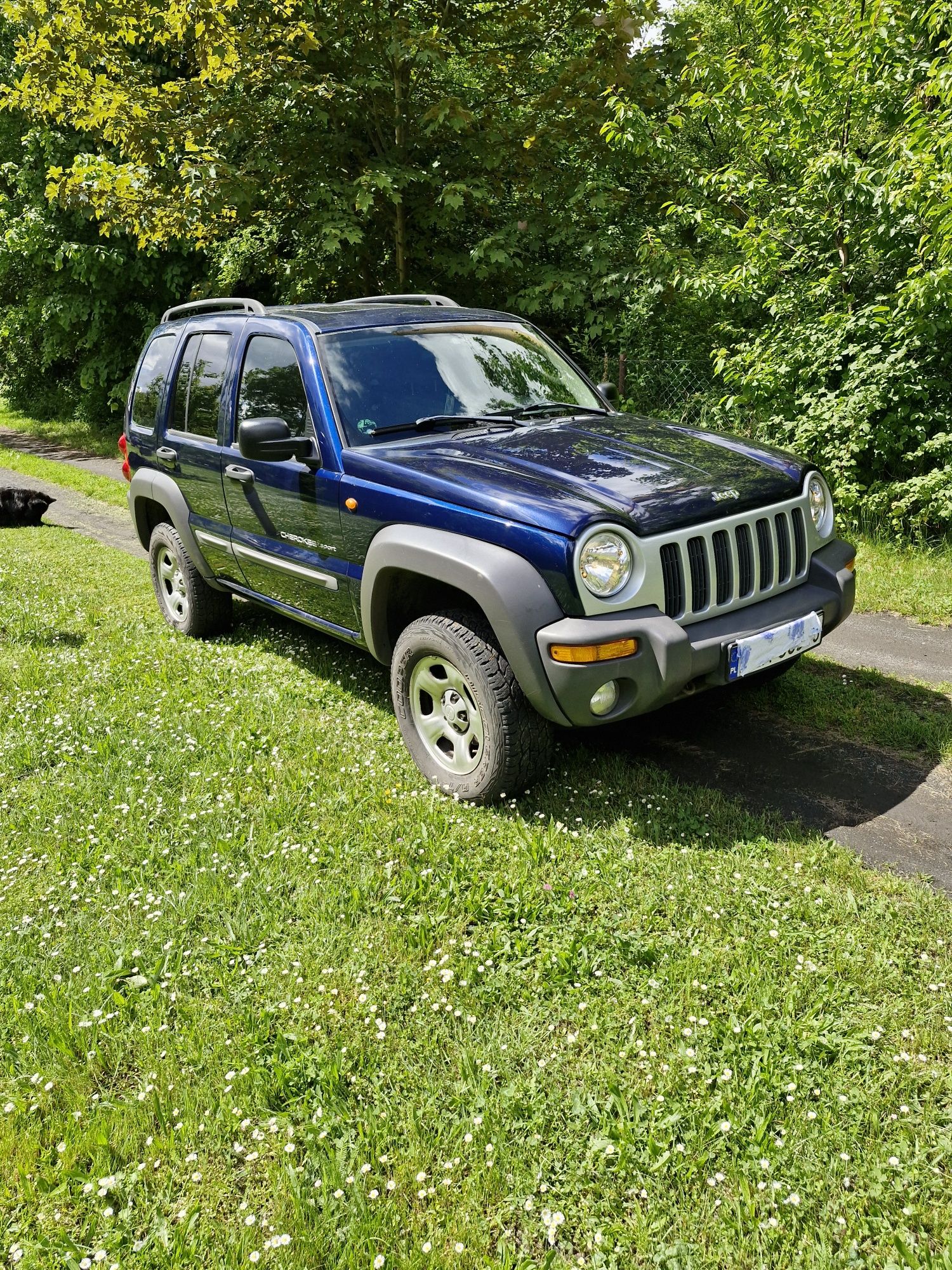 Jeep Cherokee Liberty KJ2.4 benz + gaz