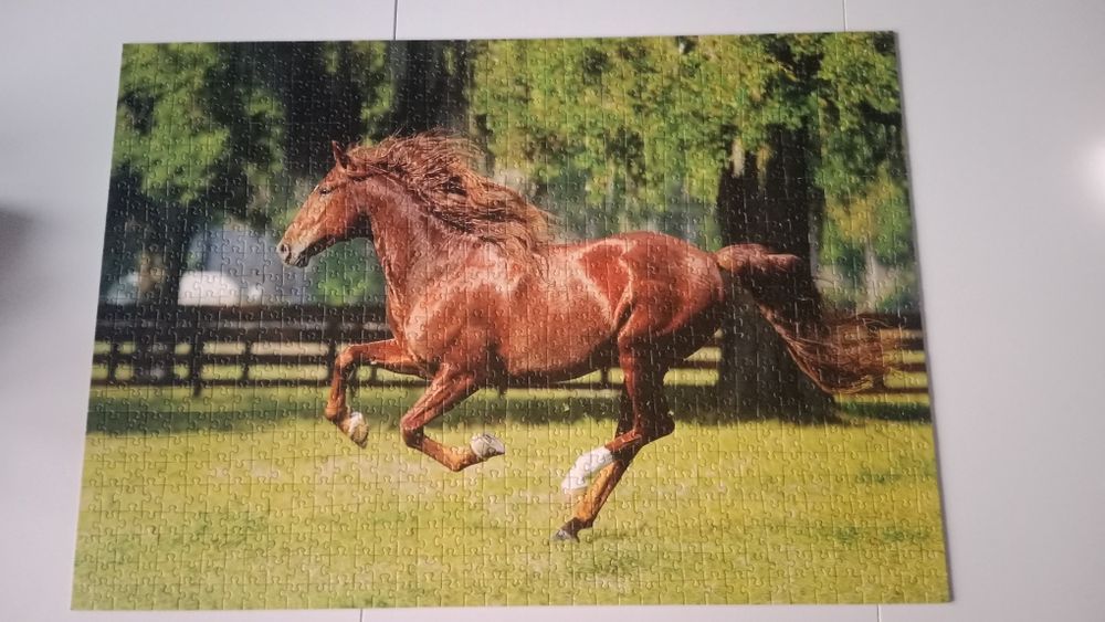 Puzzle 1000 elementów