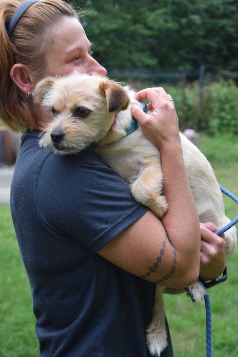 Malutka, delikatna, cudna sunia potrzebuje domku