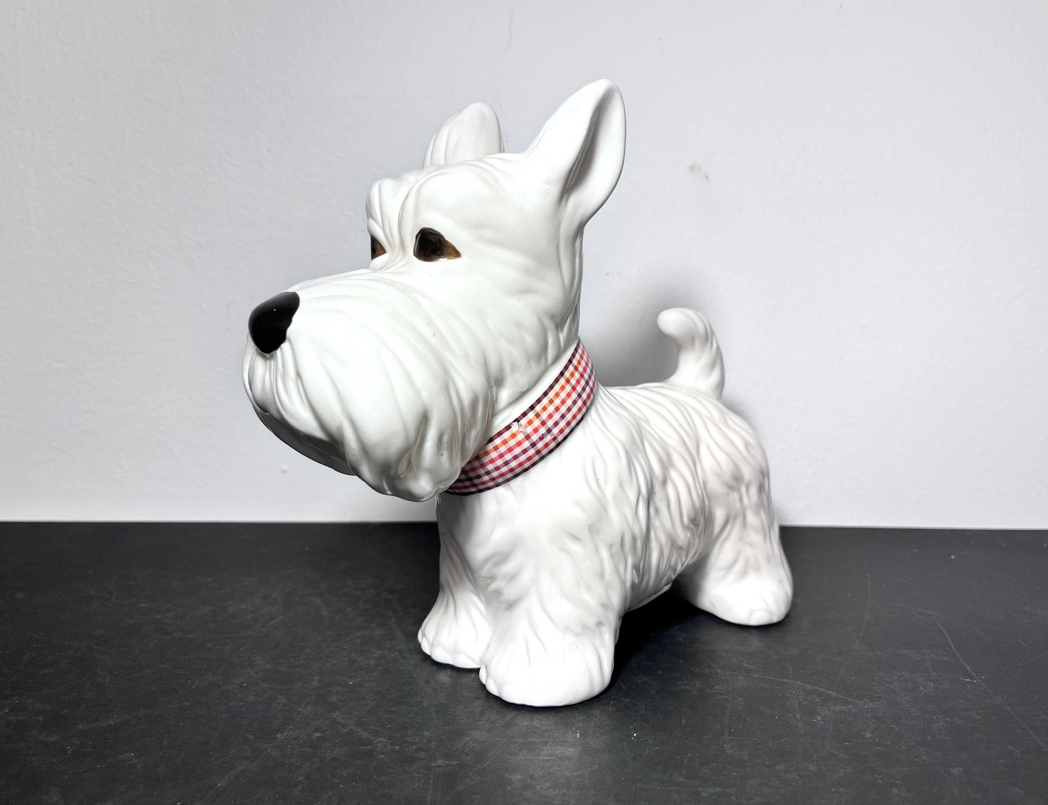 Skarbonka/ figurka ceramiczna Sznaucer!