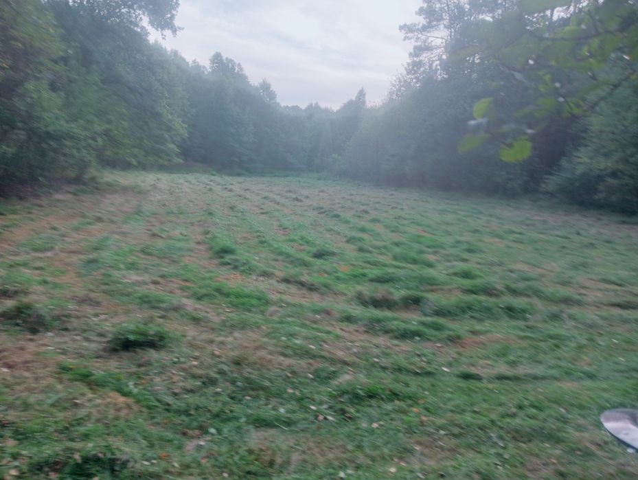 Działka 0,56 ha rolno leśna