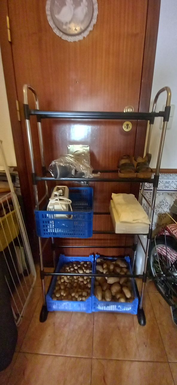 Secretaria s arrumação (ler)