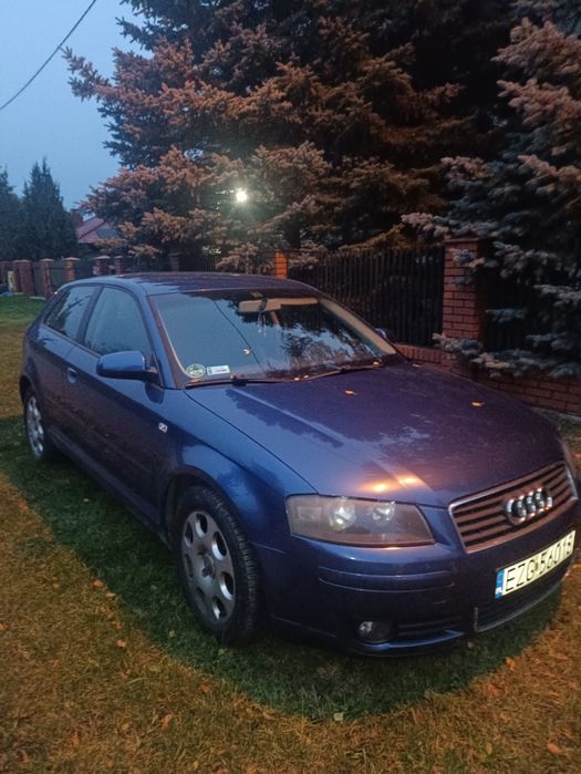 Audi A3 8p 2.0 TDI 2003 3D 140 KM