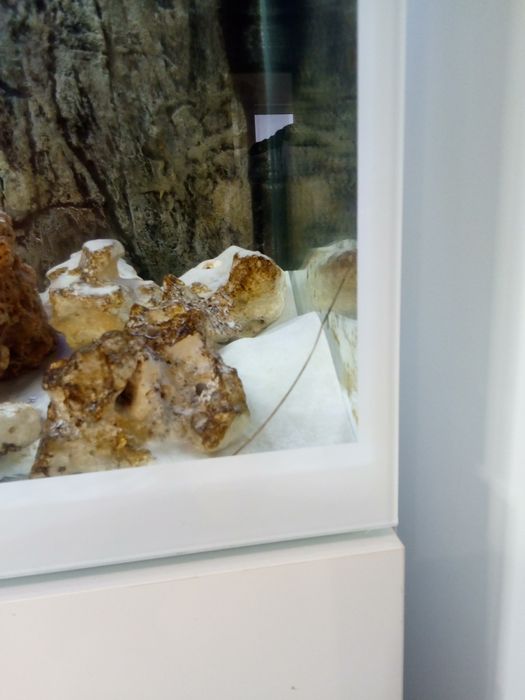 Akwarium Aquael Glossy 260l.