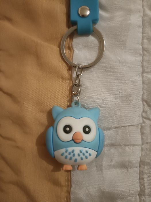 Portas chaves coruja cor azul ( Portes Grátis)