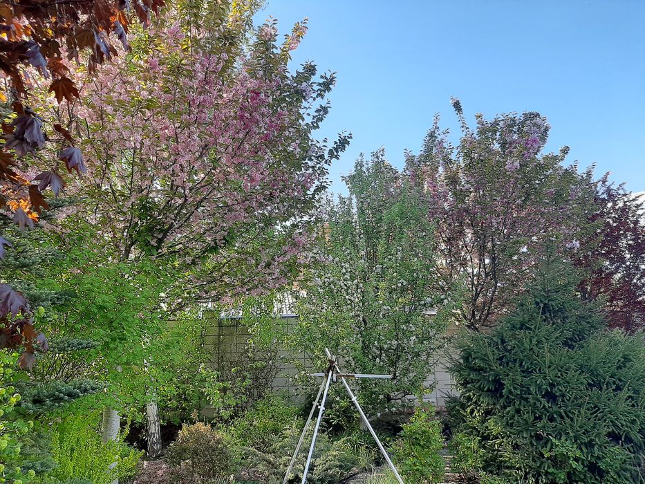 Продам участок на Гагарина, Материк