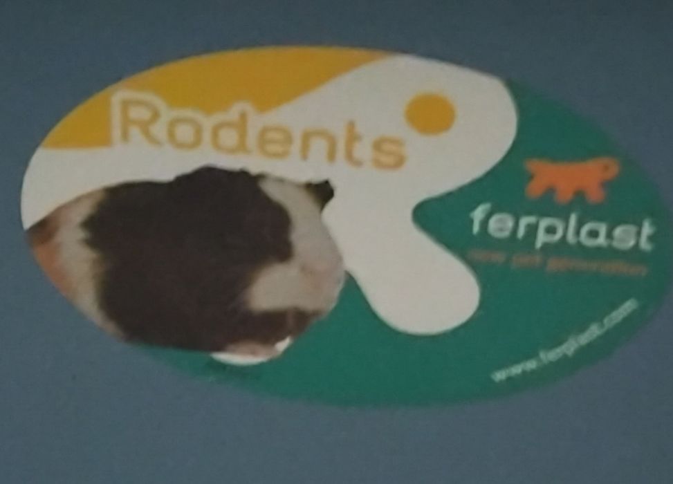 Sprzedam klatke dla krolika swinki morskiej itd