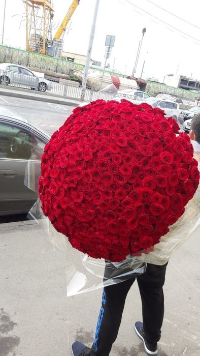 Розы 51,101, от производителя