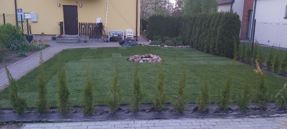 Trawa z rolki – efekt natychmiast!
Kategoria: Podłoża ogrodowe
Tytuł:
