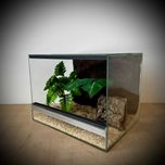 Terrarium szklane dla młodych węży 40x30x30 cm. AlleTerra