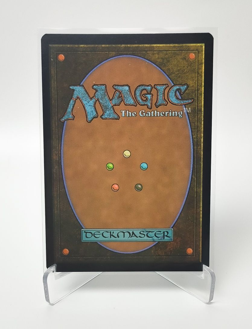 Plains 262 Bloomburrow Magic the Gathering (MTG)
