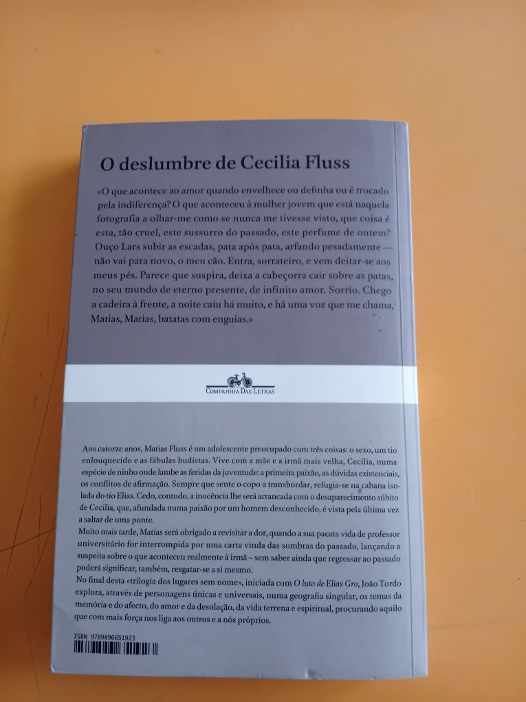 O deslumbre de Cecilia Fluss - João Tordo