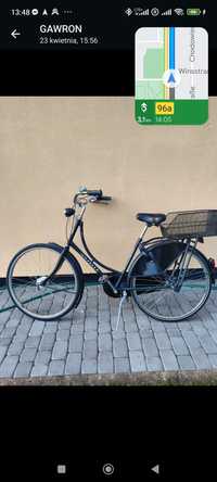 Gazela rower holenderski