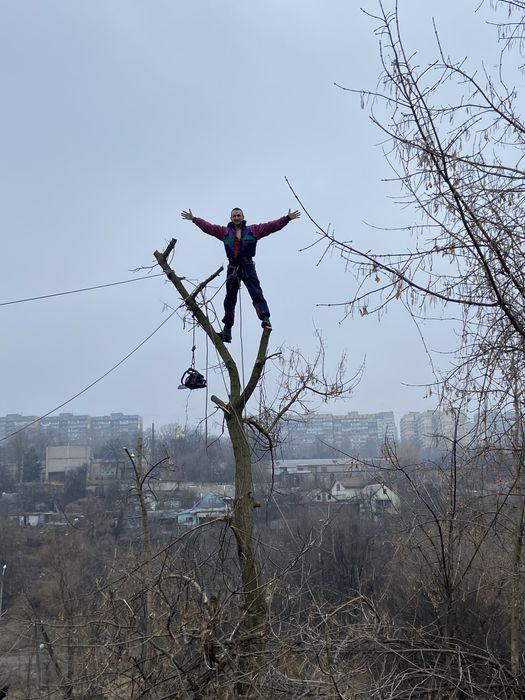Очистка ЛЭП, Спил аварийных деревьев Днепр