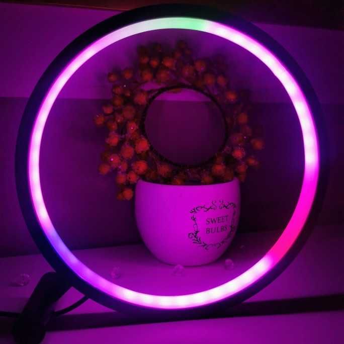 Lampka Biurkowa Nocna Inteligentna LED RGBIC WW 5V Aplikacja Pilot