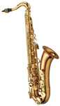 Yanagisawa Saksofon tenorowy w stroju Bb T-WO2 Professional