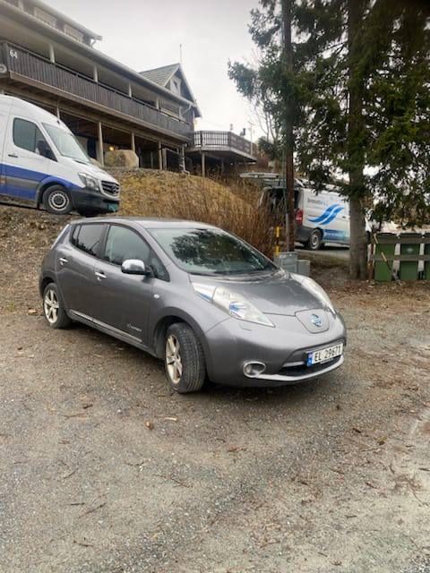 Nissan Leaf 2013