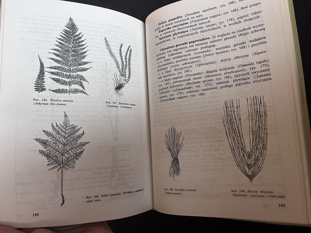 Biologia , KL. 1 , liceum ogólnokształcące , WSiP