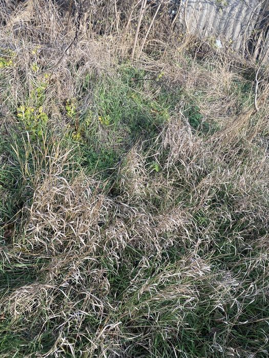 Продам газифіковану  зем. ділянку у центрі міста