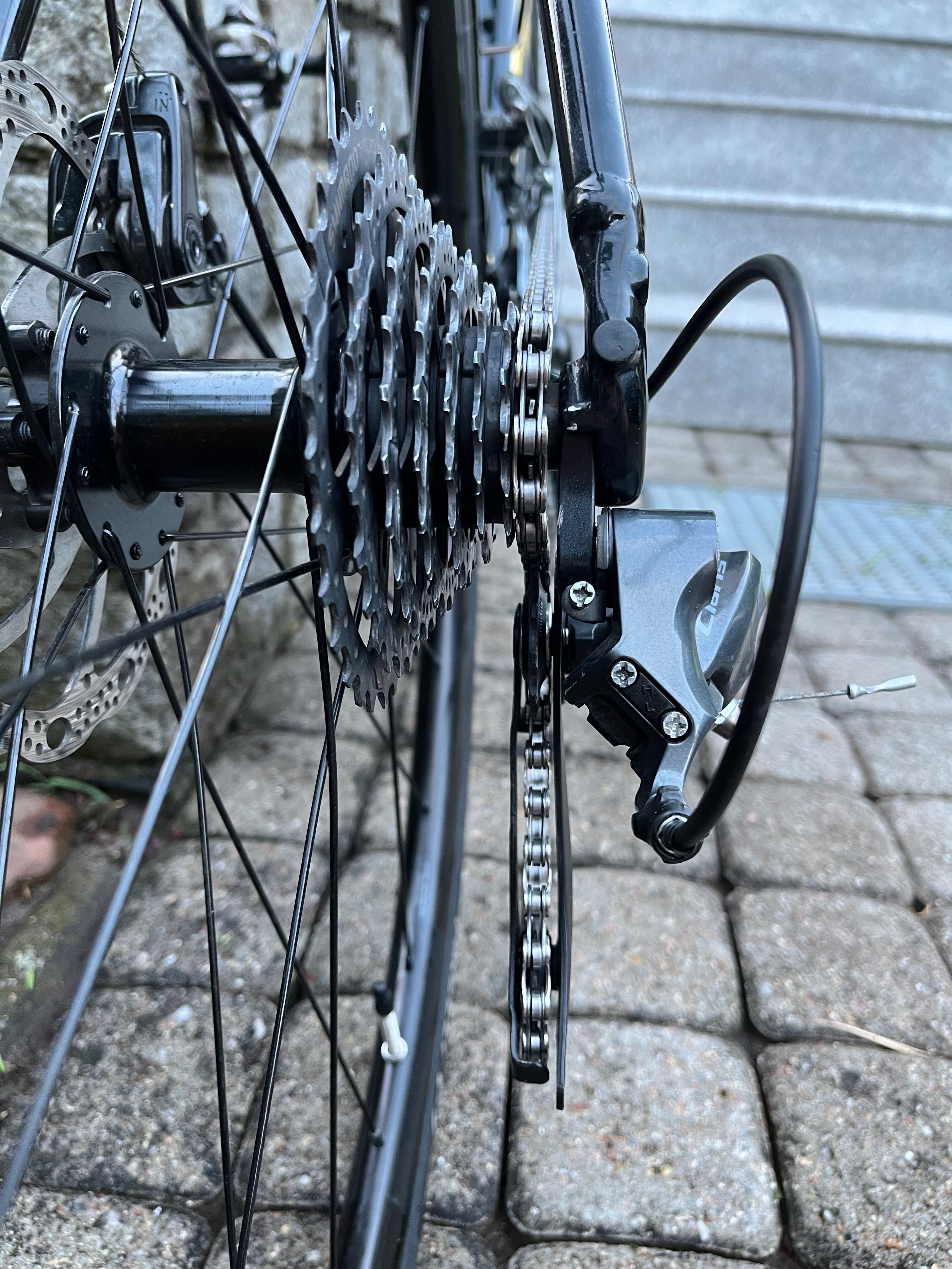 Uniwersalny TREK Domane AL2 | szosa endurance, rozmiar 58, stan bdb
