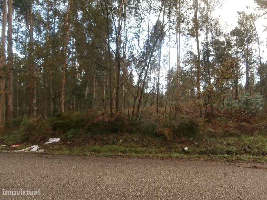 Terreno em Recardães em zona de construção (VENDA JUDUCIAL: verba n...