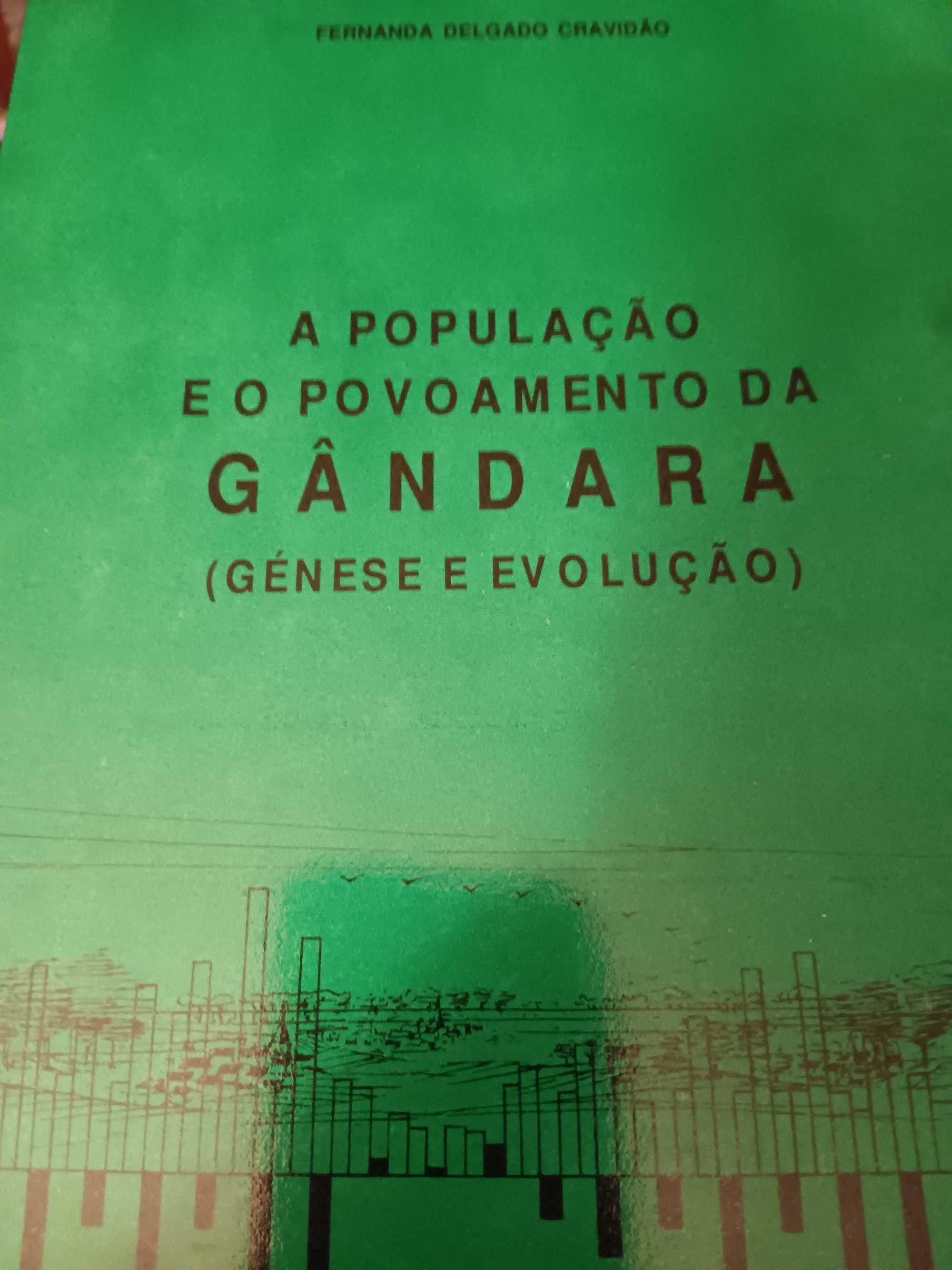 A população e o povoamento da Gândara (génese e evolução)