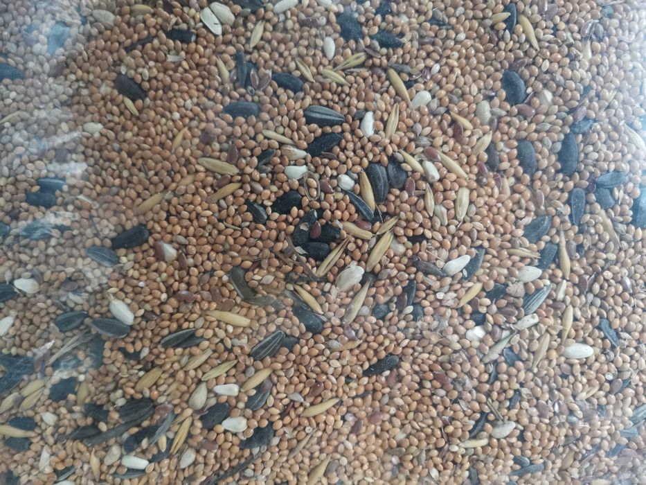 Karma dla małych papug (papuga falista) 20KG