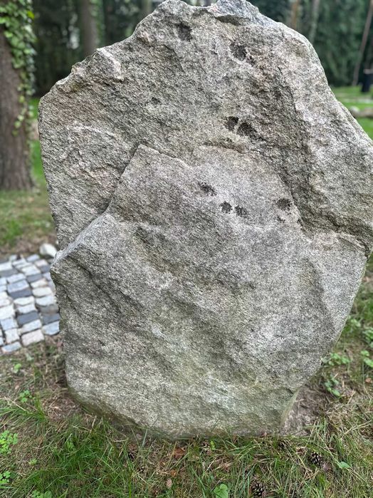 Głaz kamień dekoracyjny ogrodowy