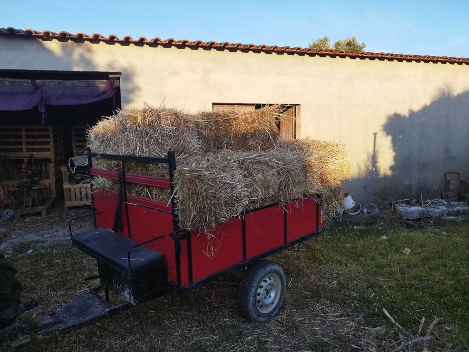 Fardos de Feno de Azevém