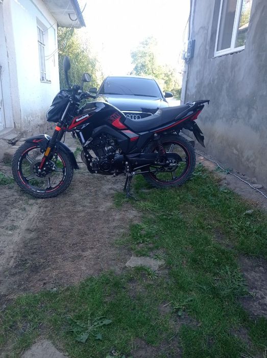 Mustang MT250-9R
