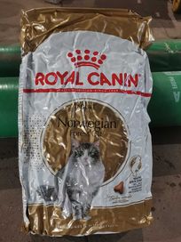 Norweski Royal Canin Norvegian Forest Adult - 10kg