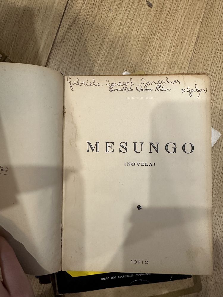 livro E. De Queiroz Ribeiro - Mesungo.