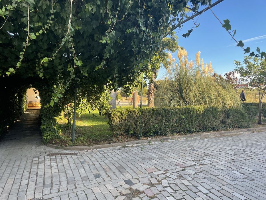 Quarta para Arrendamento, Quinta tranquila