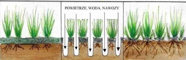 Wypożyczalnia Aerator spalinowy Profesionalny Rurowy areator Wynajem
