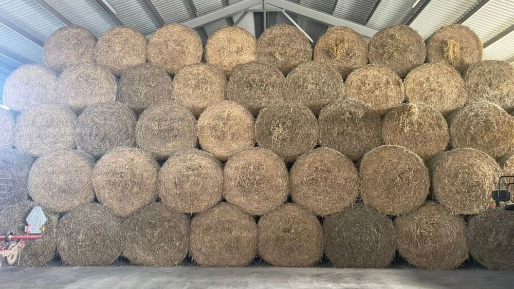 Słoma siano sianokiszonka kukurydza bele