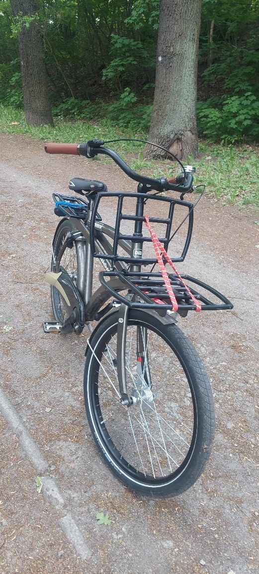 Rower cargo z Dani mocny alu