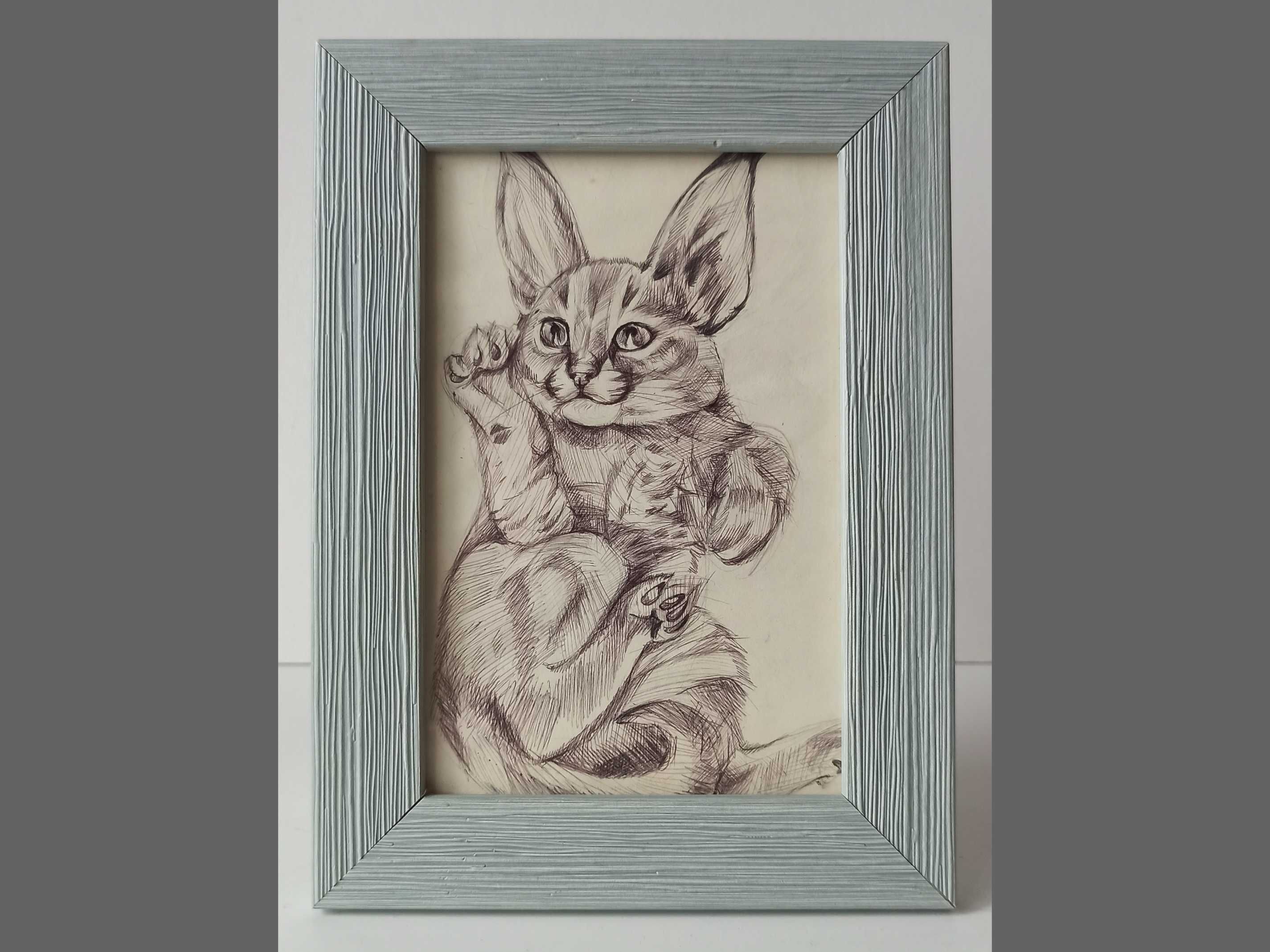 Портрет котенка (рисунок ручкой) в рамке
