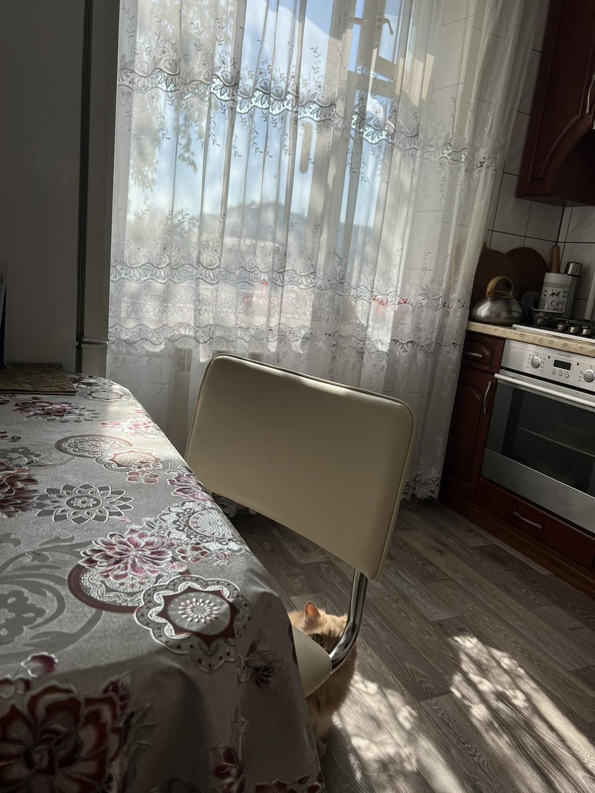 Здам кімнату для дівчини. Центр міста, ринок, парк, школа,