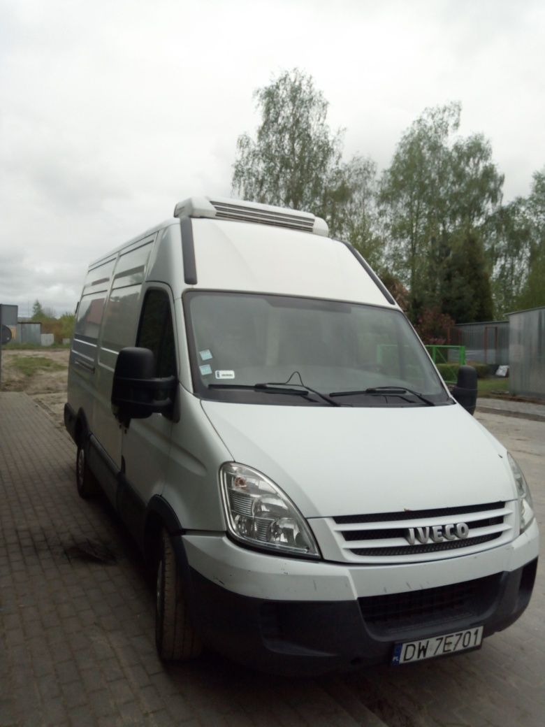Iveco daily chłodnia thermo King v300max