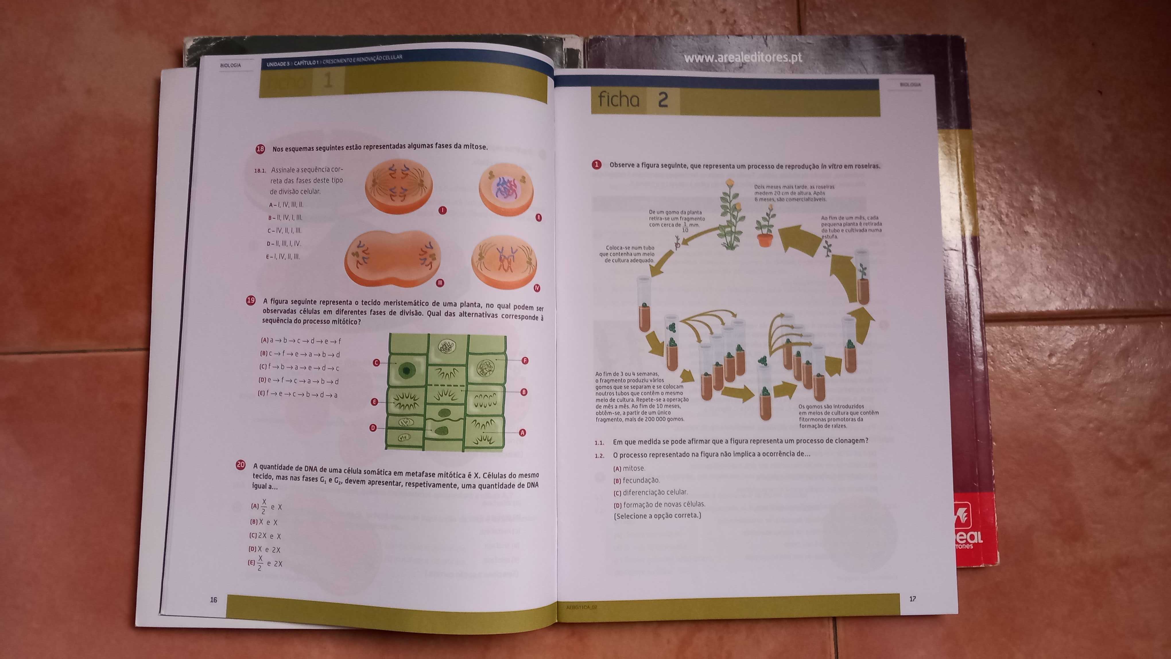 Manuais de biologia e geologia 11° ano