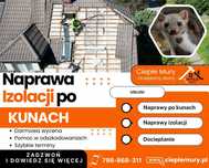 Naprawa dachu po kunie, naprawa izolacji po kunie, ocieplanie celulozą