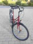 Rower damka 26cali