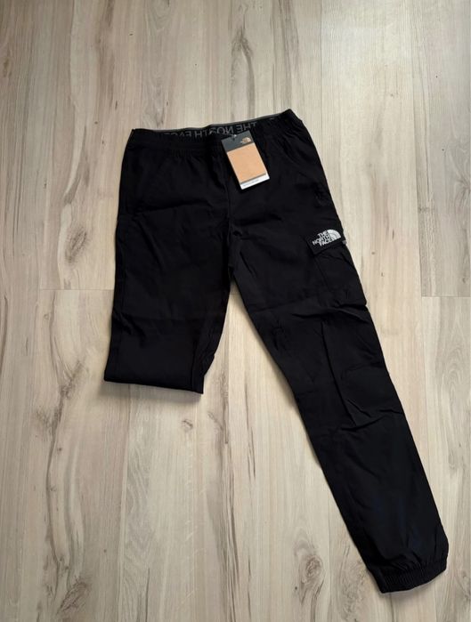 Spodnie męskie The north face