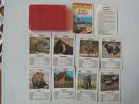 Karty ze zwierzętami maxi mini foto safari
