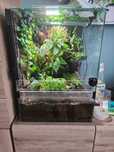Sprzedam terrarium z wyposażeniem