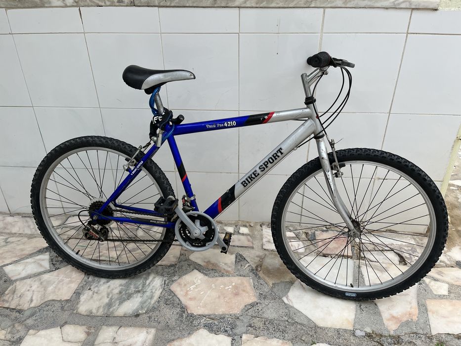 Bicicleta adulto