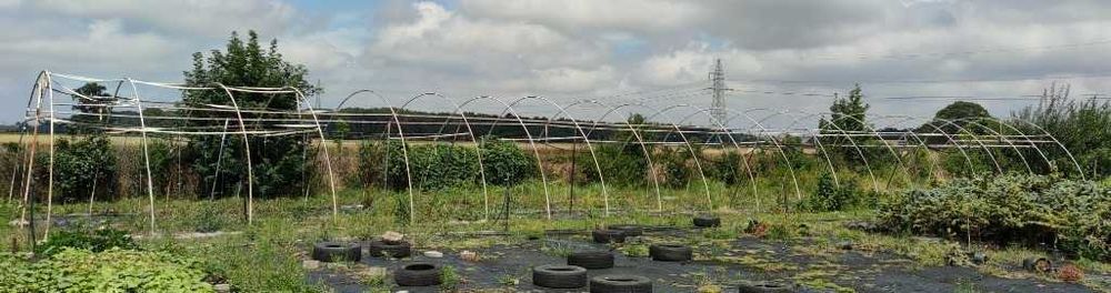 Tunel foliowy 30mX6mx3,5m