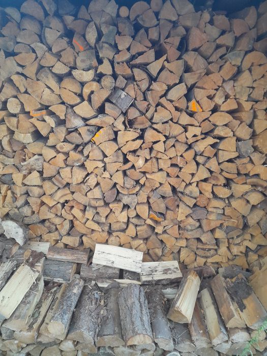 Drewno opałowe iglaste i liściaste