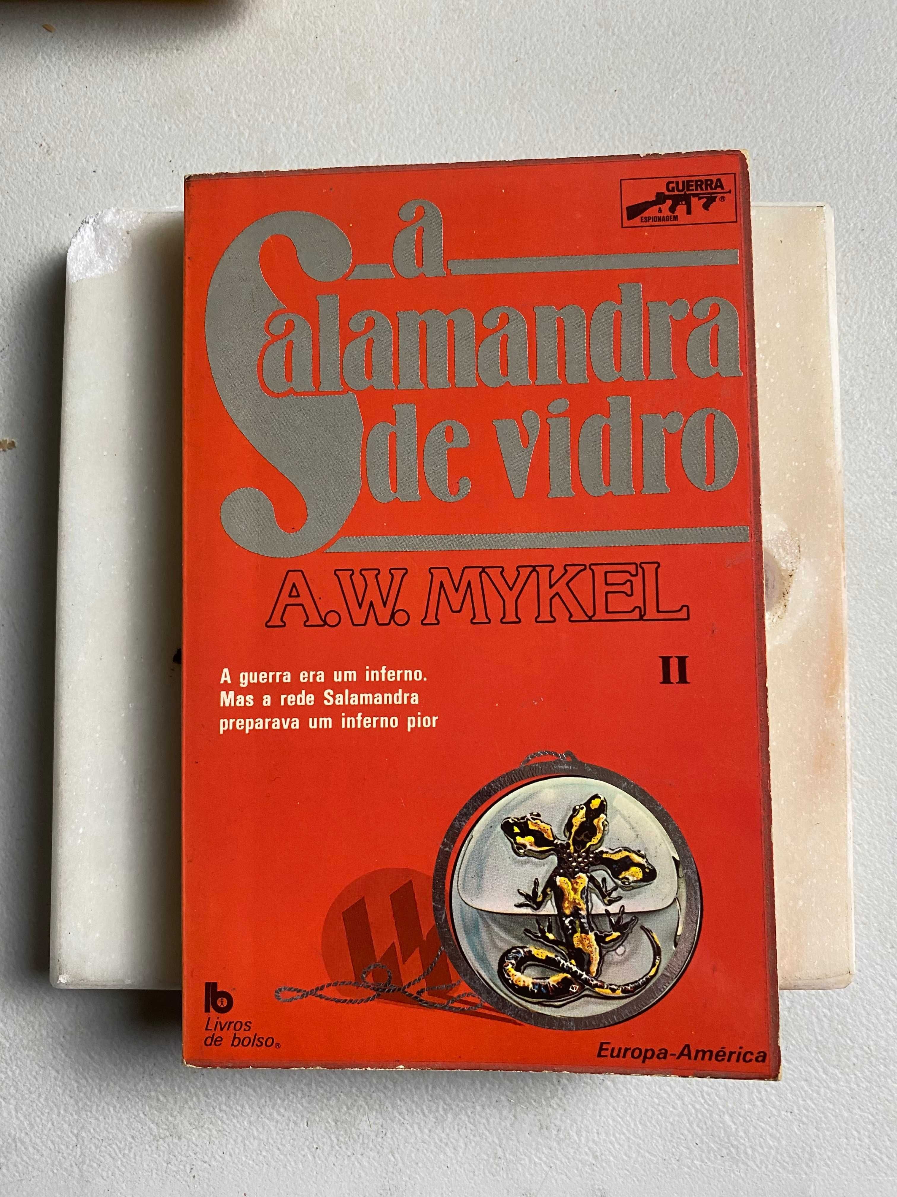 Livro- Ref CxC  - A.W.Mykel -a salamandra de vidro