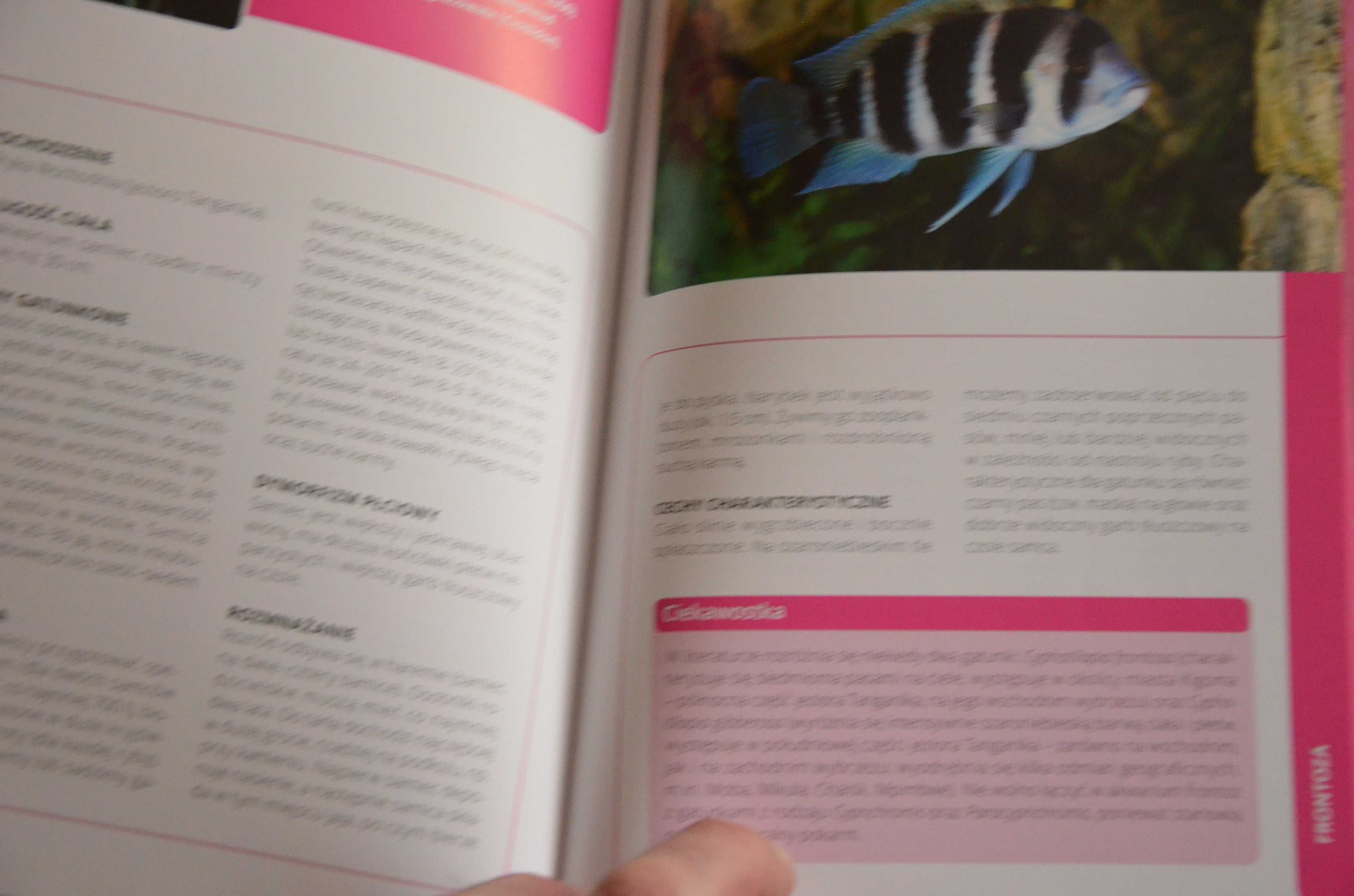 książka- ryby akwariowe